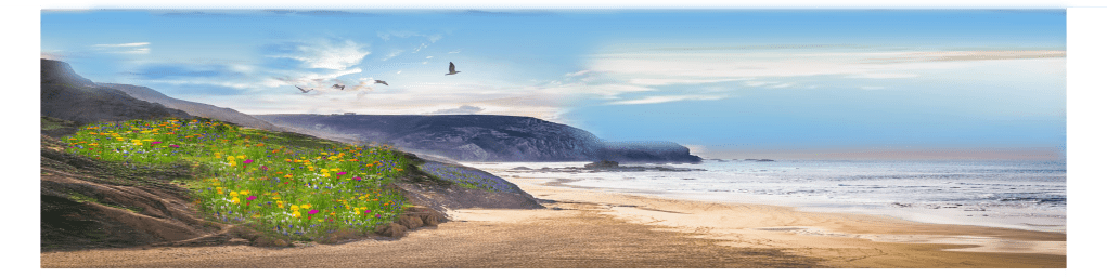 coastline with a meadow of wild flowers